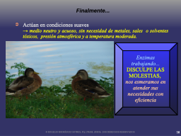 Travajan en condiciones suaves